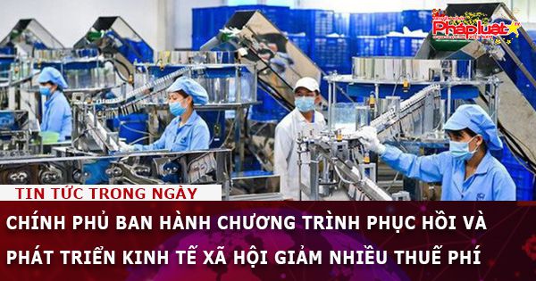 Chính phủ ban hành chương trình phục hồi và phát triển kinh tế xã hội giảm nhiều thuế phí