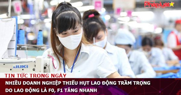 Nhiều doanh nghiệp thiếu hụt lao động trầm trọng do lao động là F0, F1 tăng nhanh