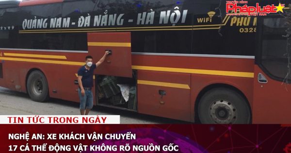 Nghệ An: Xe khách vận chuyển 17 cá thể động vật không rõ nguồn gốc