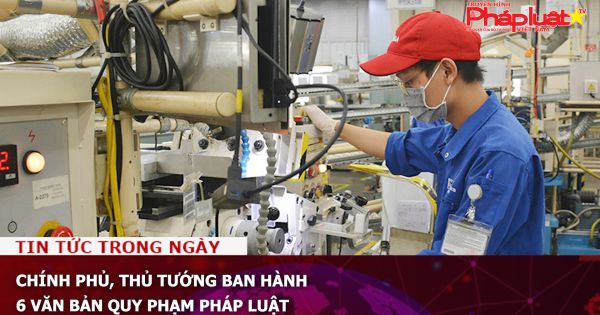 Chính phủ, Thủ tướng ban hành 6 văn bản quy phạm pháp luật