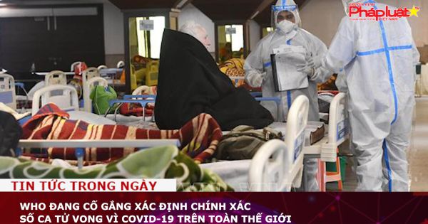 WHO đang cố gắng xác định chính xác số ca tử vong vì COVID-19 trên toàn thế giới