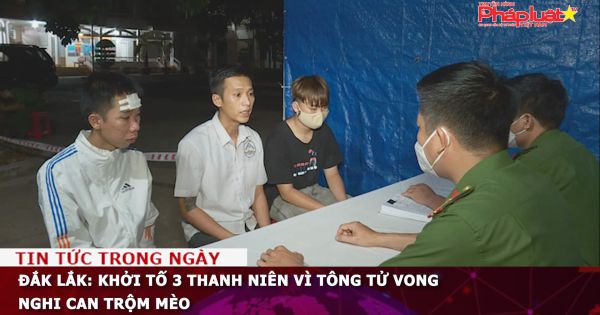 Đắk Lắk: Khởi tố 3 thanh niên vì tông tử vong nghi can trộm mèo