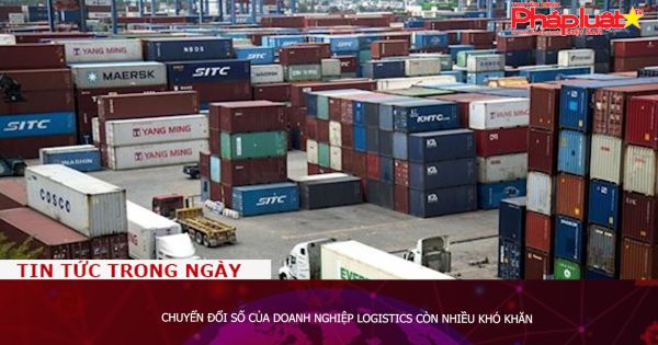 Chuyển đổi số của doanh nghiệp logistics còn nhiều khó khăn