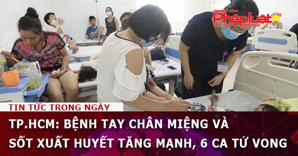 TP.HCM: Bệnh tay chân miệng và sốt xuất huyết tăng mạnh, 6 ca tử vong