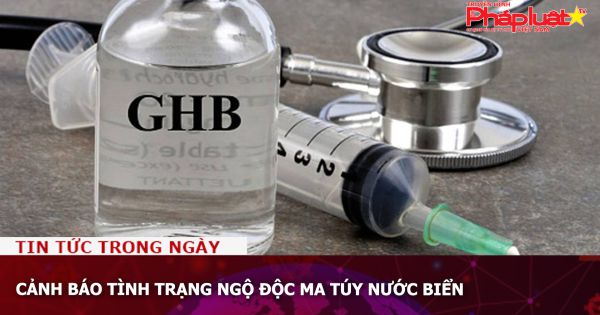 Cảnh báo tình trạng ngộ độc ma túy nước biển