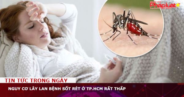 Nguy cơ lây lan bệnh sốt rét ở TP.HCM rất thấp