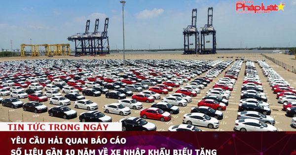 Yêu cầu Hải quan báo cáo số liệu gần 10 năm về xe nhập khẩu biếu tặng