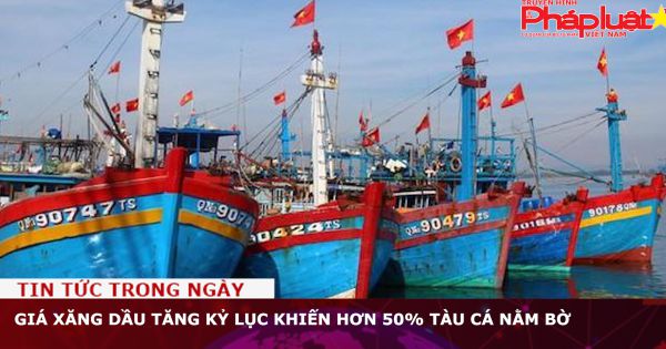 Giá xăng dầu tăng kỷ lục khiến hơn 50% tàu cá nằm bờ