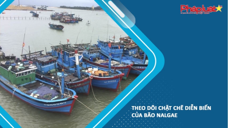 Theo dõi chặt chẽ diễn biến của bão NALGAE