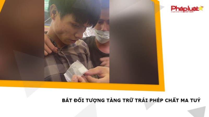 Bắt đối tượng tàng trữ trái phép chất ma túy