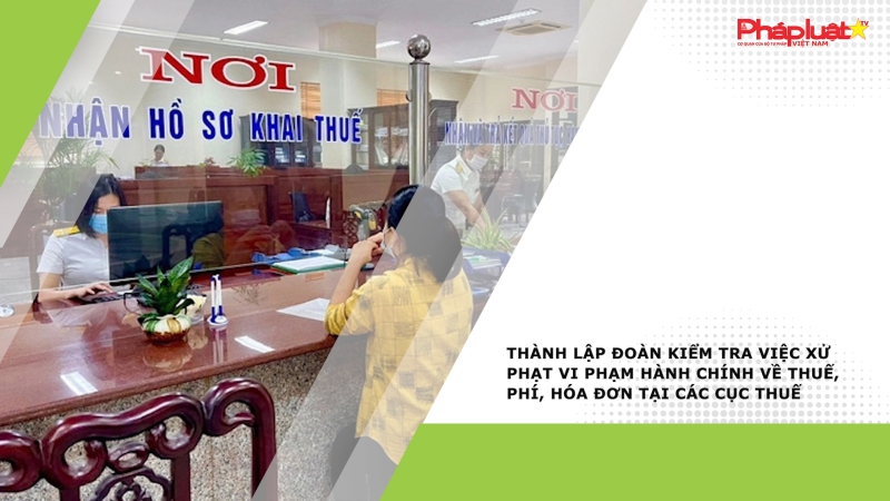 Thành lập đoàn kiểm tra việc xử phạt vi phạm hành chính về thuế, phí, hóa đơn tại các cục thuế