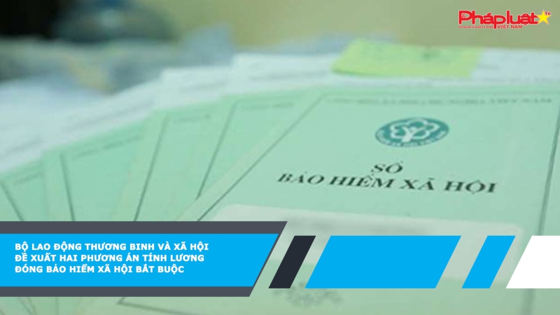 Bộ Lao động Thương binh và Xã hội đề xuất hai phương án tính lương đóng bảo hiểm xã hội bắt buộc