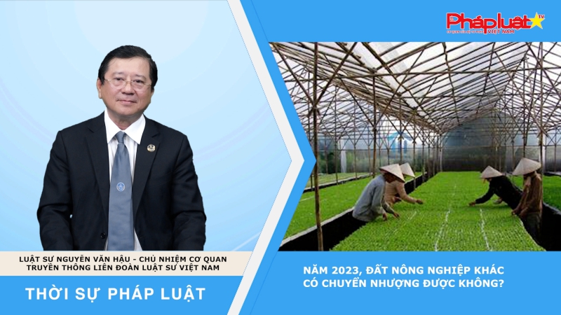 Thời sự pháp Luật: Năm 2023, đất nông nghiệp khác có chuyển nhượng được không?