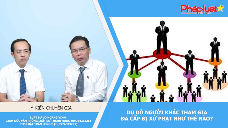 Thời sự Pháp luật: Dụ dỗ người khác tham gia đa cấp bị xử phạt như thế nào?