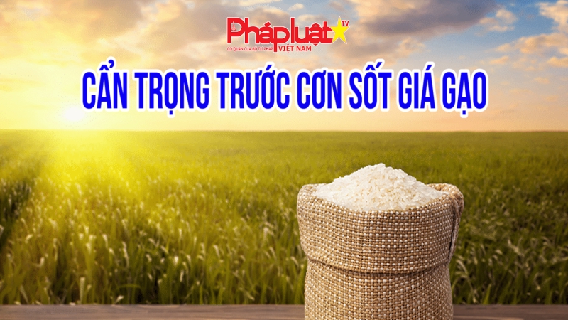 Cẩn trọng trước cơn sốt giá gạo