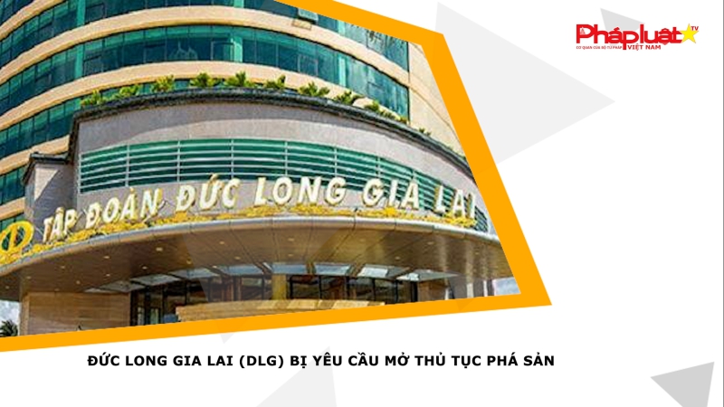 Đức Long Gia Lai (DLG) bị yêu cầu mở thủ tục phá sản