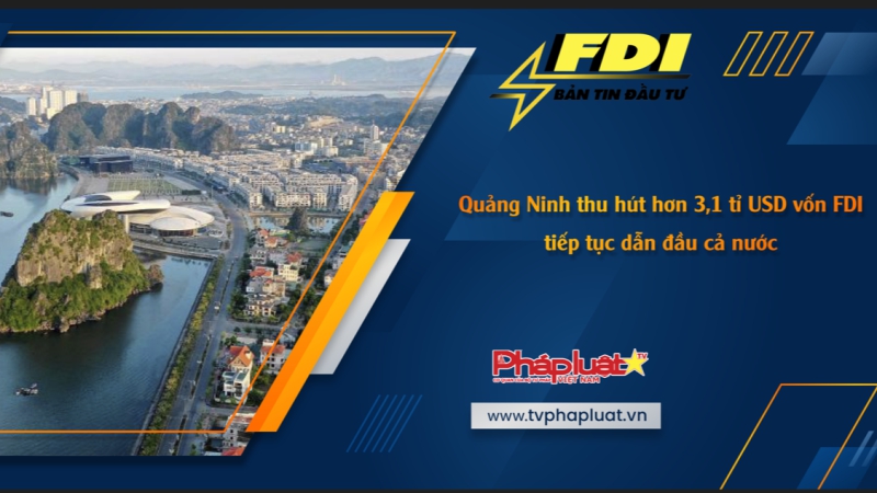 Bản tin Đầu tư FDI ngày 2/12/2023: Quảng Ninh thu hút hơn 3,1 tỉ USD vốn FDI, tiếp tục dẫn đầu cả nước