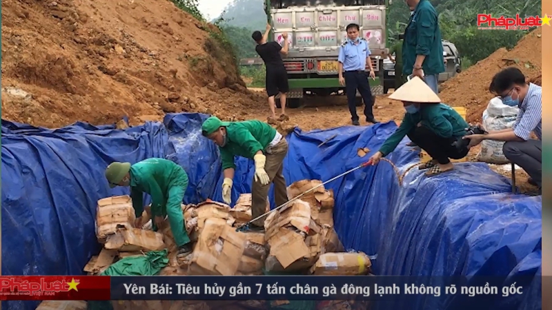 Bản tin ATTP ngày 22/4: “Yên Bái: Tiêu hủy gần 7 tấn chân gà đông lạnh không rõ nguồn gốc”