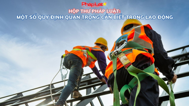 HỘP THƯ PHÁP LUẬT:Một số quy định quan trọng cần biết trong lao động